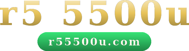 r5 5500u logo